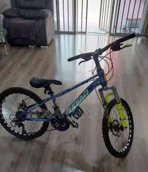 Mhiao Mountain Bike 22" – Excellent Condition