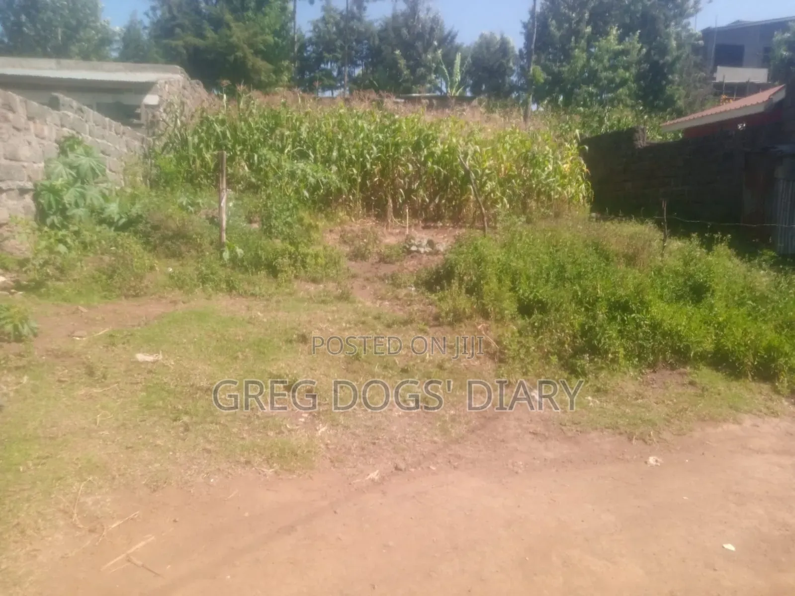 Prime Plot for Sale 