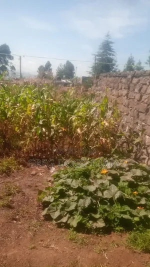 Prime Plot for Sale 