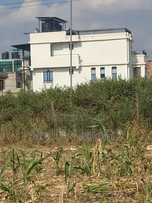 Githurai Mwihoko ( Finance) 3 Adjoined 50x100 Plots