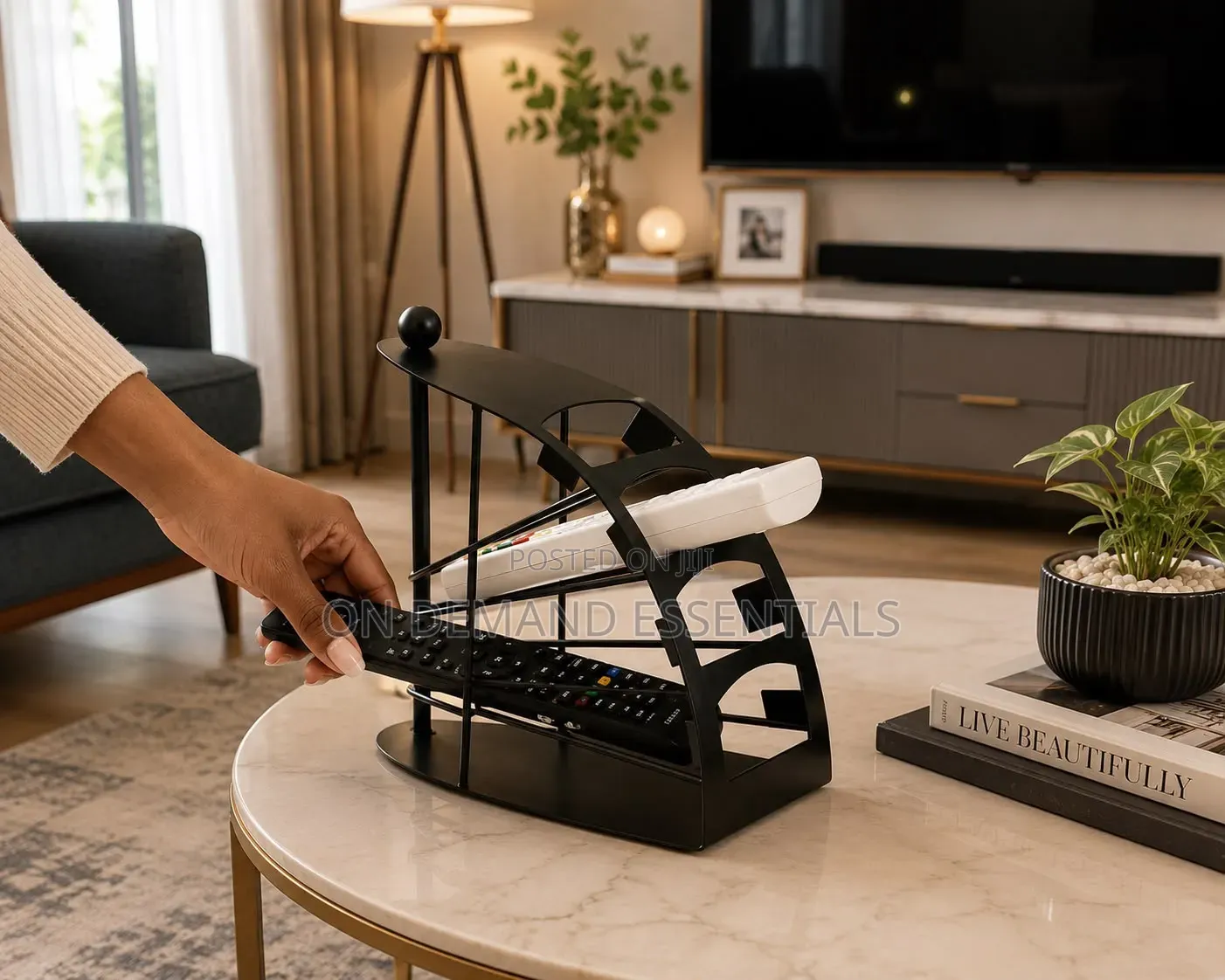 Metallic Remote Organizer
