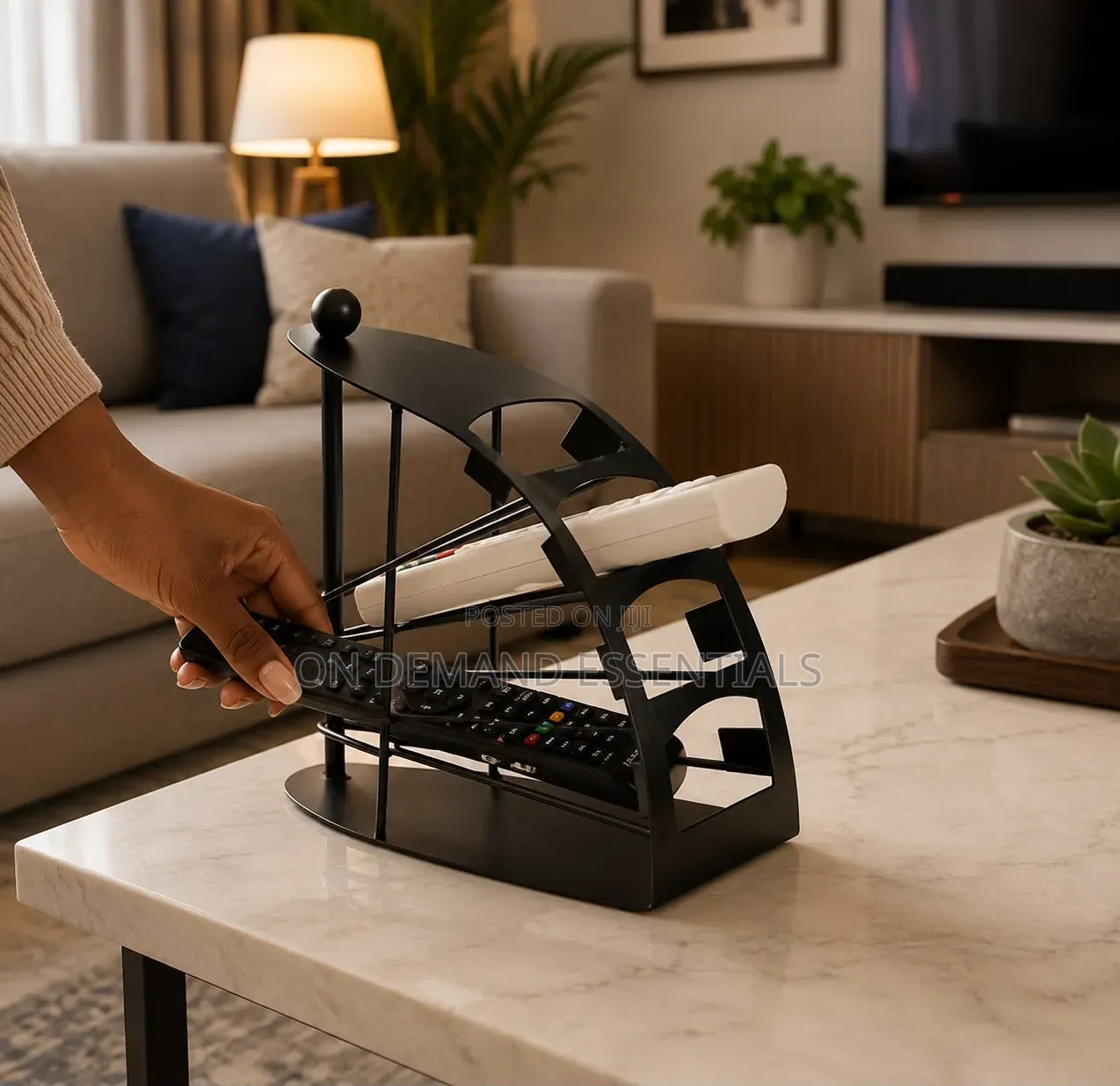Metallic Remote Organizer