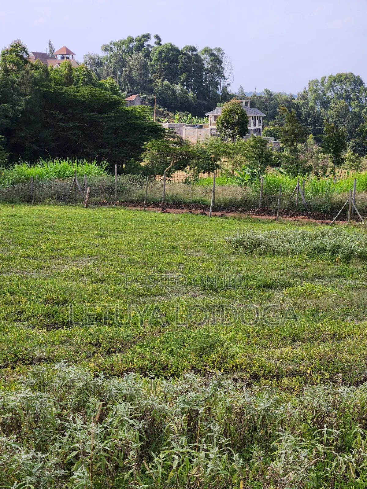 1⁄8 Acre Plots Ngong-Kibiko(windyridge)