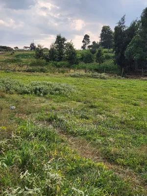 1⁄8 Acre Plots Ngong-Kibiko(windyridge)