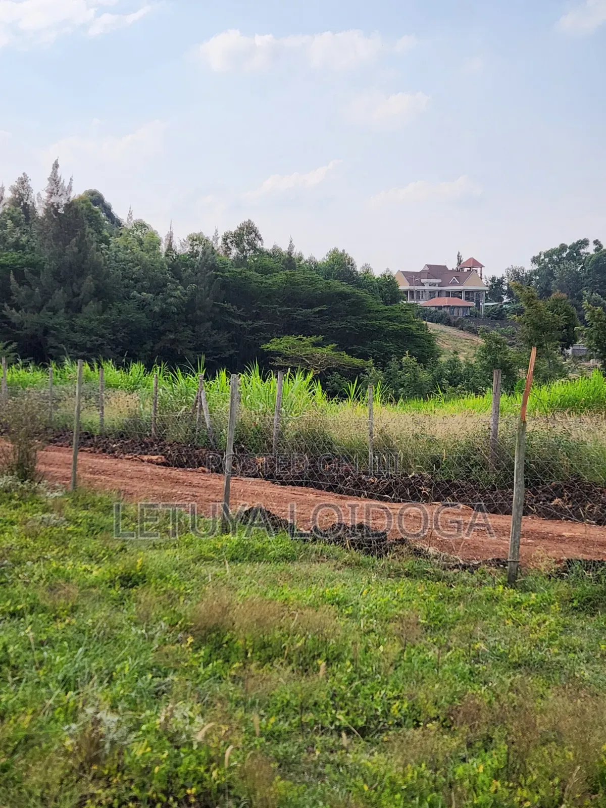 1⁄8 Acre Plots Ngong-Kibiko(windyridge)