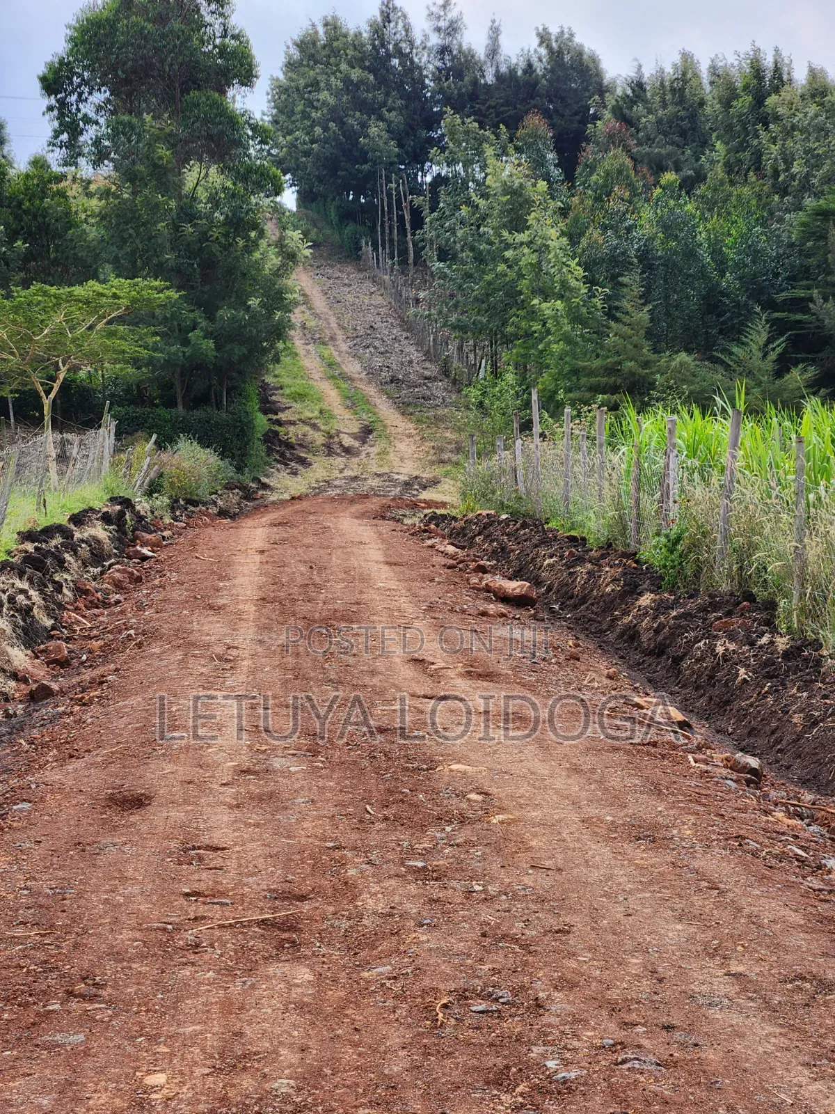 1⁄8 Acre Plots Ngong-Kibiko(windyridge)