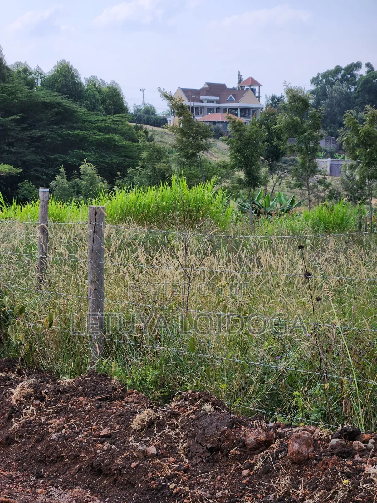 1⁄8 Acre Plots Ngong-Kibiko(windyridge)