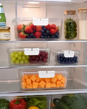 4 PCS Food Grade Eco-Friendly Moisture Proof Fridge Containers
