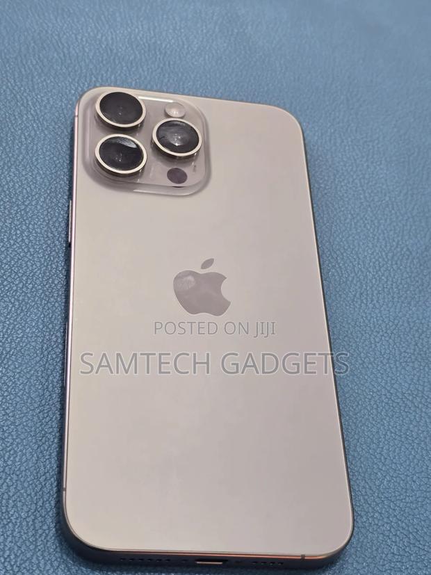 Apple iPhone 15 Pro Max 256 GB Gray