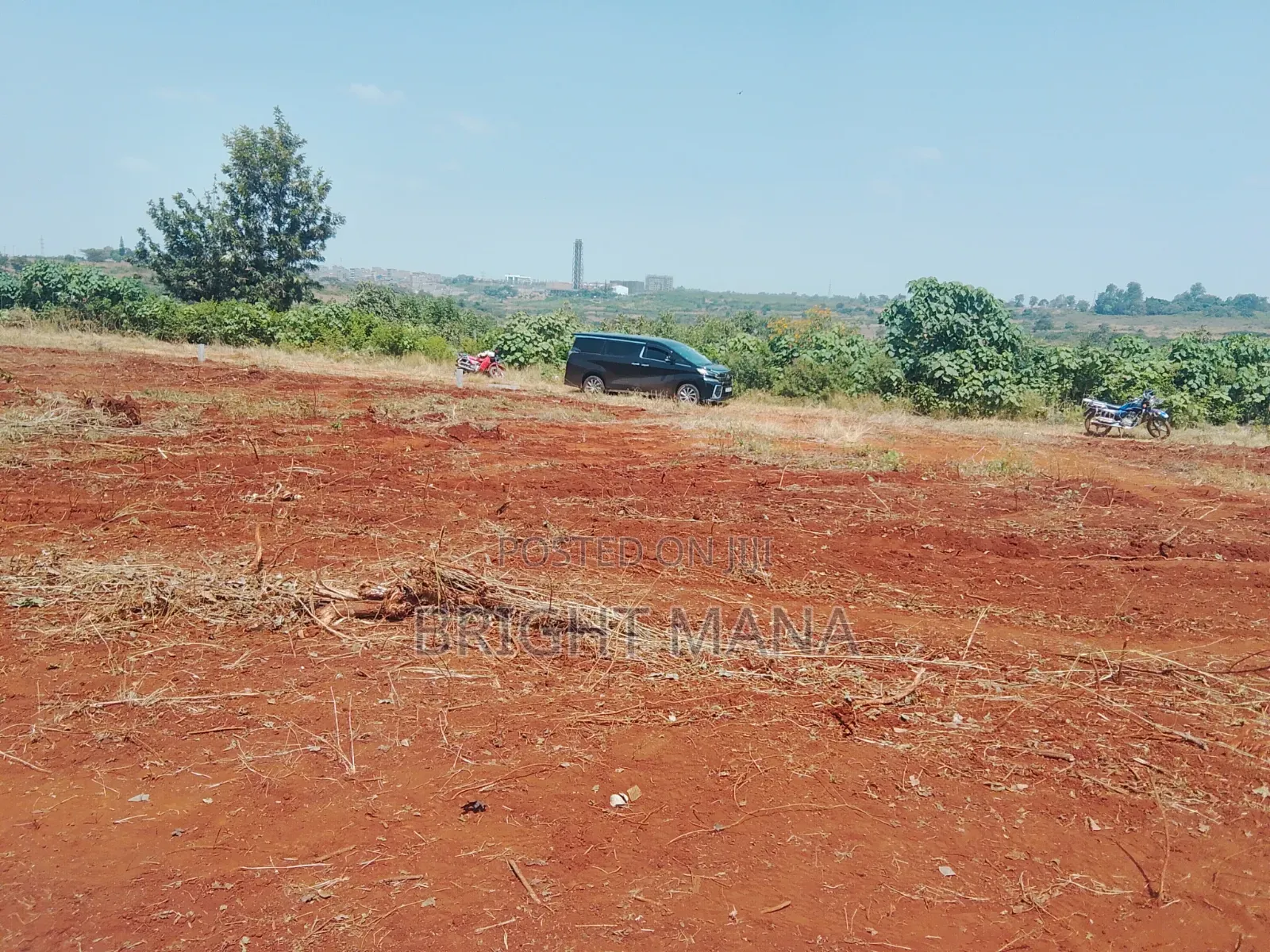 Land and Property