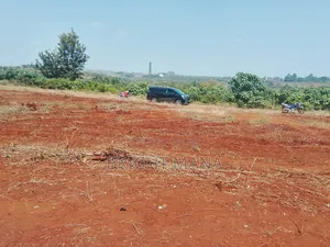 Land and Property