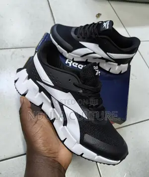 Reebok Zig Dynamica 2 Shoe Description