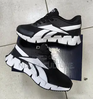 Reebok Zig Dynamica 2 Shoe Description