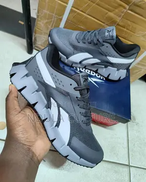 Reebok Zig Dynamica 2 Shoe Description