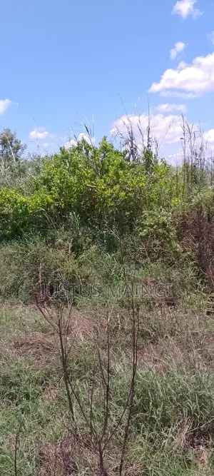 15Acres of Land for Sale in Malindi, With Ready Title.