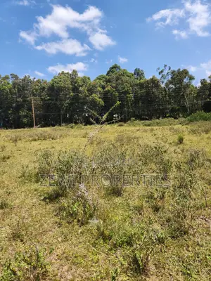 One Acre Karen