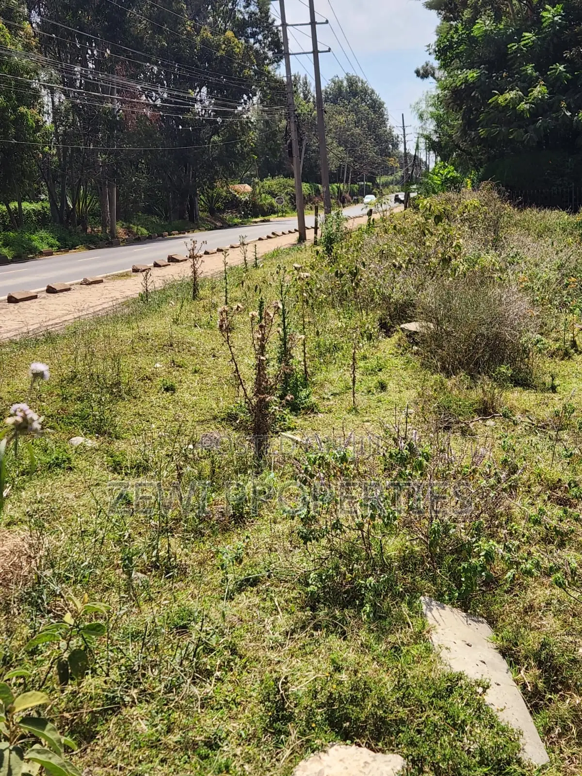 One Acre Karen