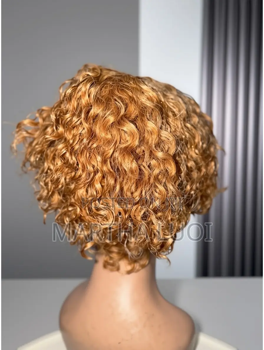 Human Hair Wig