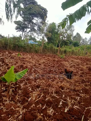 50 by 100'ft on Sale at Kenol-Murang'A