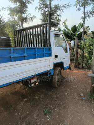 Foton 2007 White