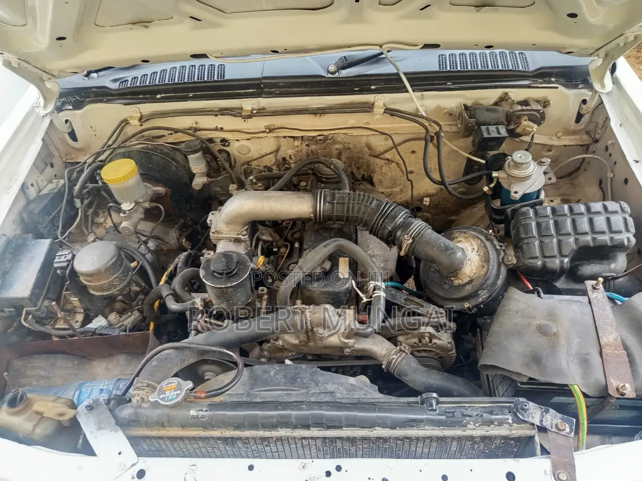 Nissan Hardbody 2007 White