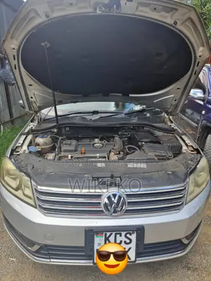 Volkswagen Passat 2011 Silver