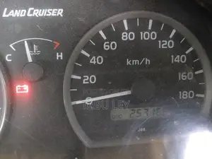 Toyota Land Cruiser 79 Series 2011 Beige