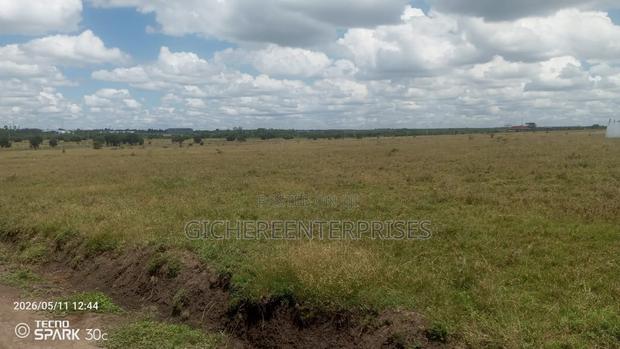 Kisanju Kitengela - thumbnail 2