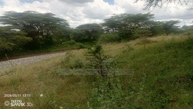 Kisanju Kitengela - thumbnail 7