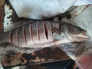 Nile Perch/Mbuta 1KG - 580(Lates Niloticus)