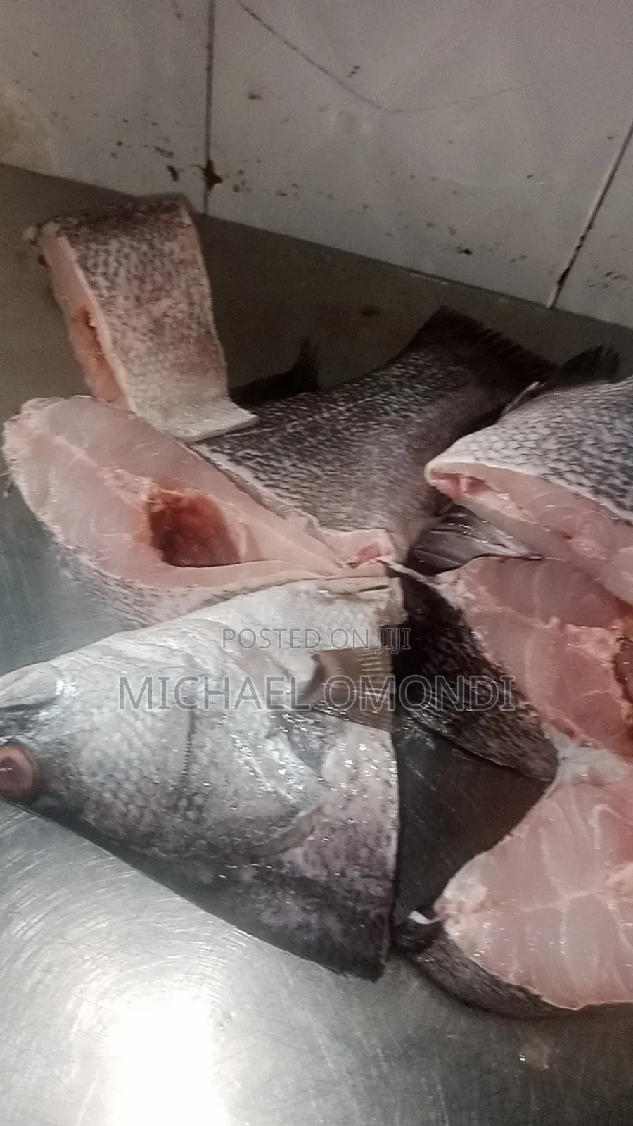 Nile Perch/Mbuta 1KG - 580(Lates Niloticus)