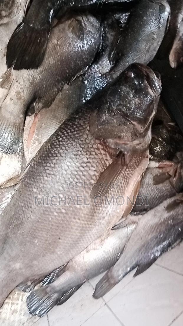 Nile Perch/Mbuta 1KG - 580(Lates Niloticus)