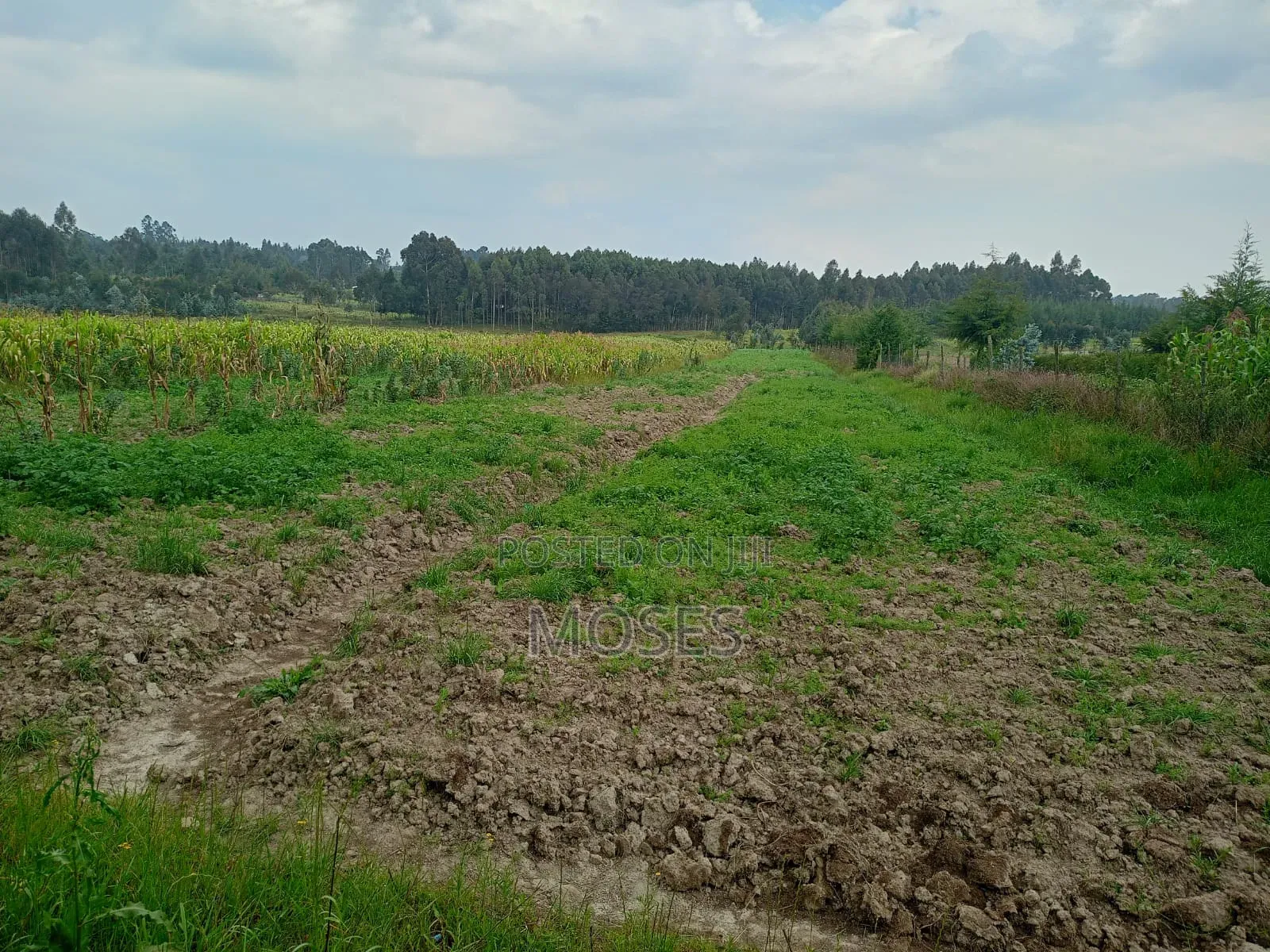 Land for Sale in Nyandarua Engineer