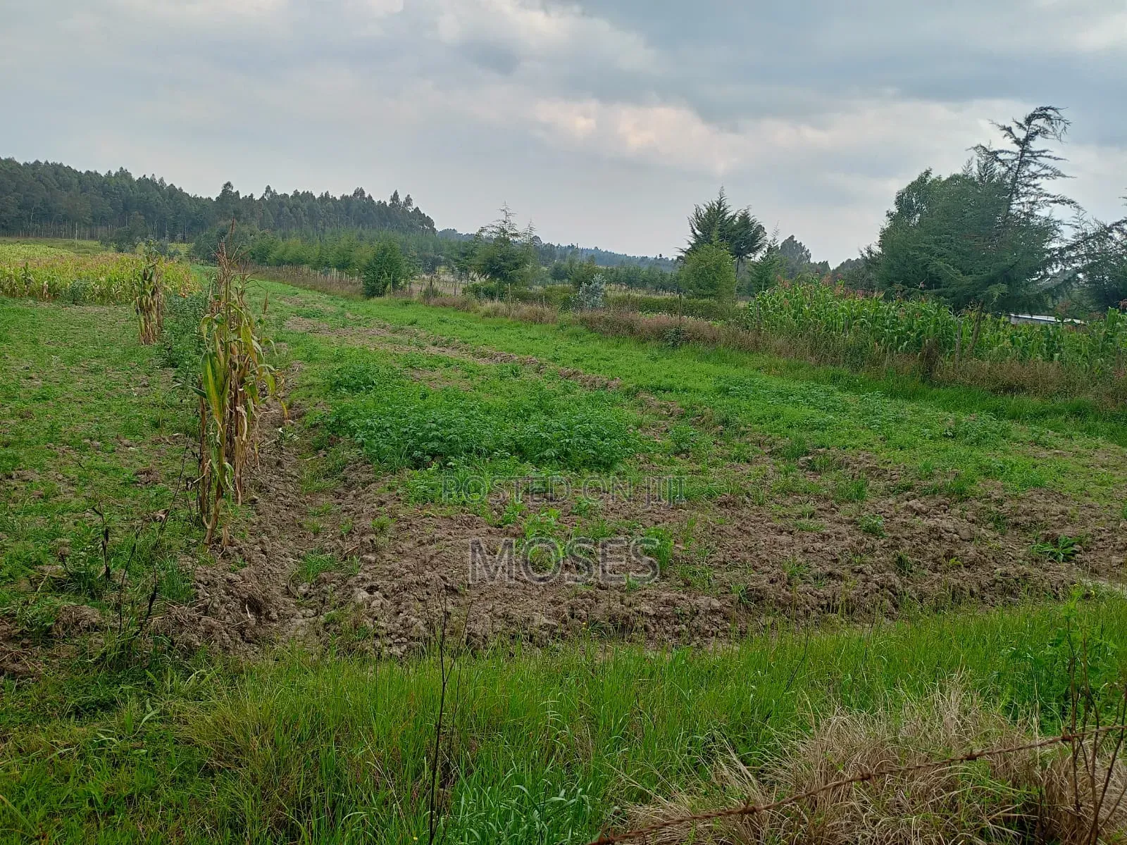 Land for Sale in Nyandarua Engineer