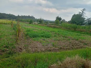 Land for Sale in Nyandarua Engineer