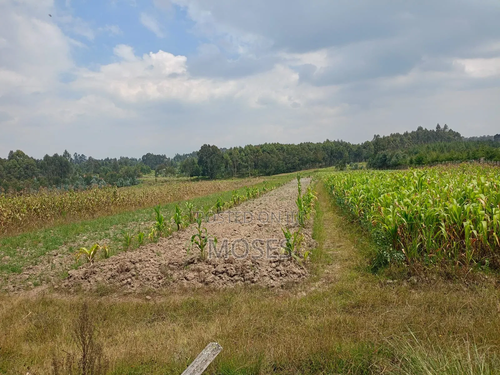Land for Sale in Nyandarua Engineer