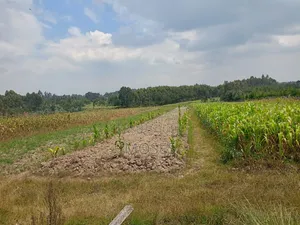 Land for Sale in Nyandarua Engineer