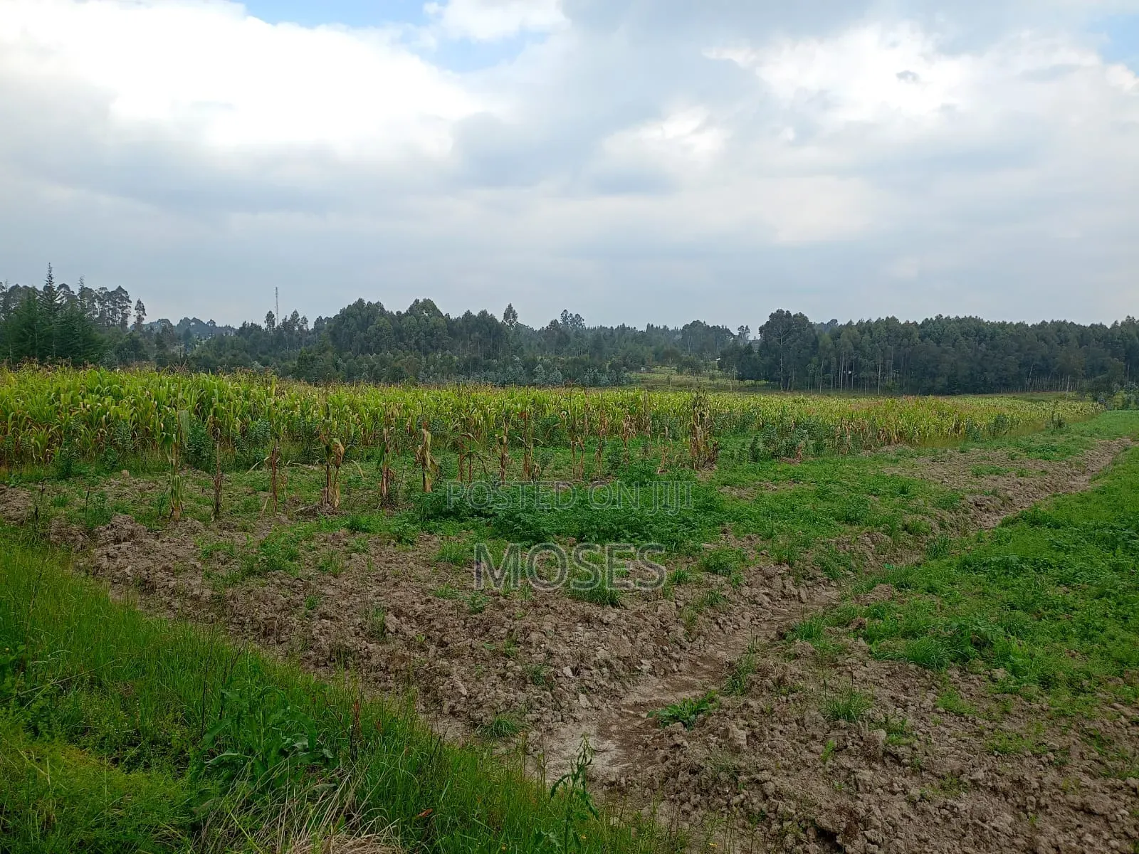 Land for Sale in Nyandarua Engineer