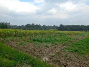 Land for Sale in Nyandarua Engineer