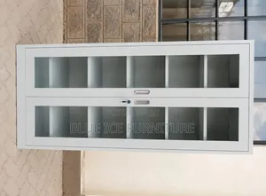 Premium Steel Glass Door Office Cabinet