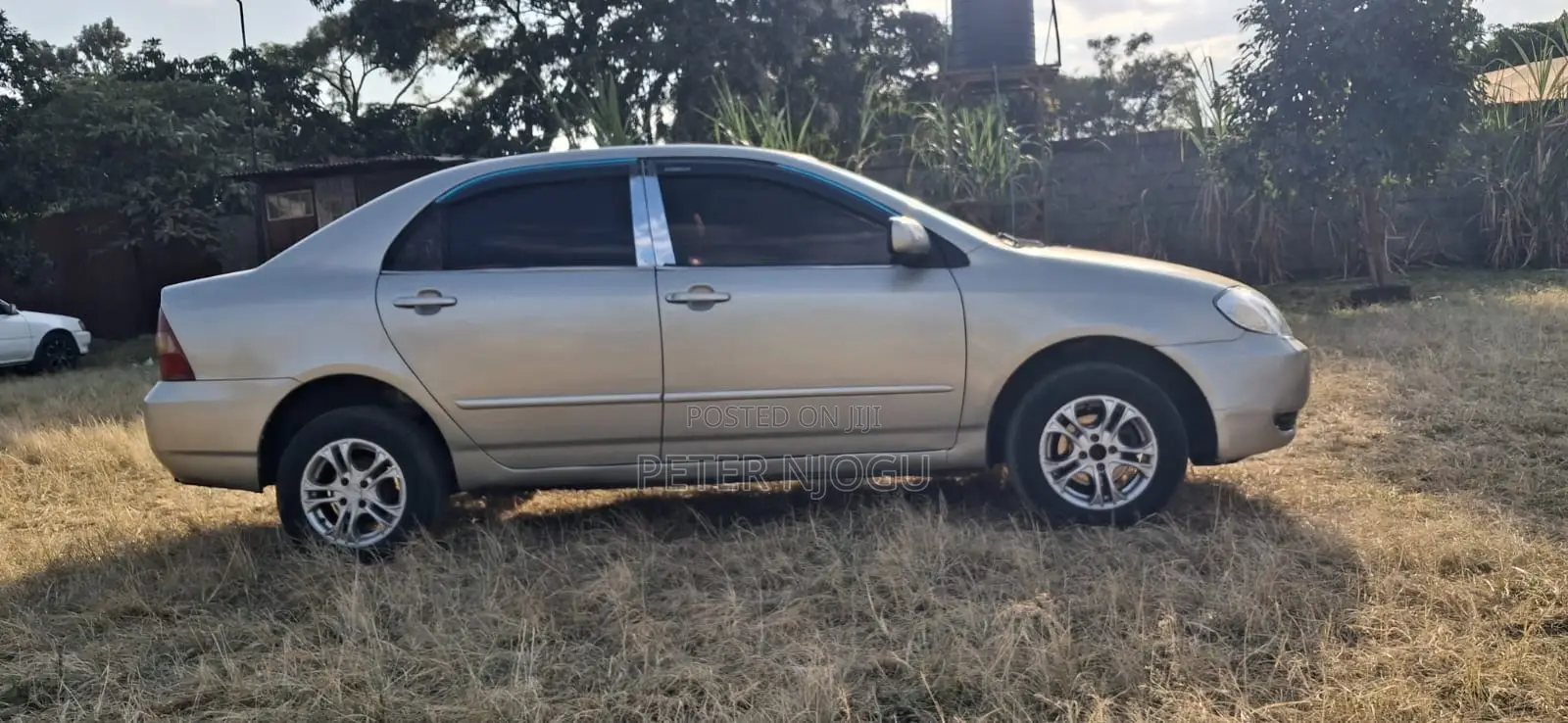 Toyota Corolla 2004 Gray