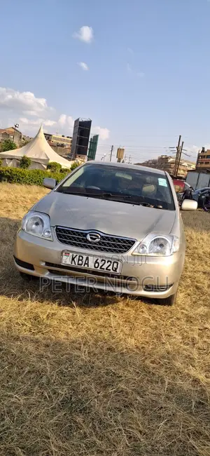 Toyota Corolla 2004 Gray