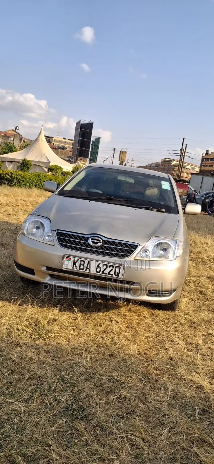 Toyota Corolla 2004 Gray