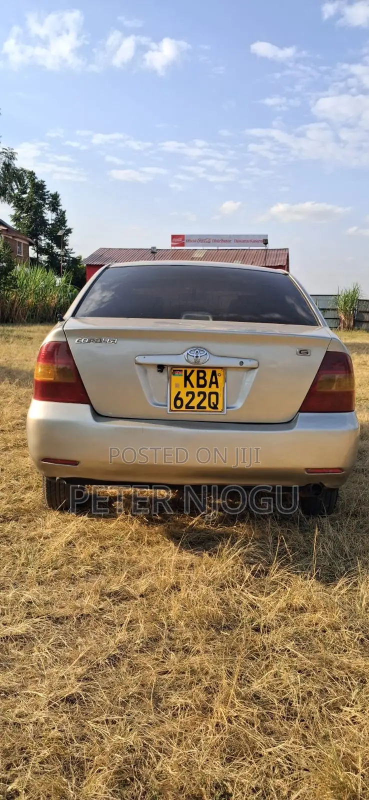 Toyota Corolla 2004 Gray