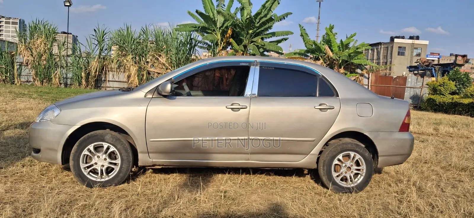 Toyota Corolla 2004 Gray
