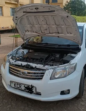 Toyota Axio 2013 White