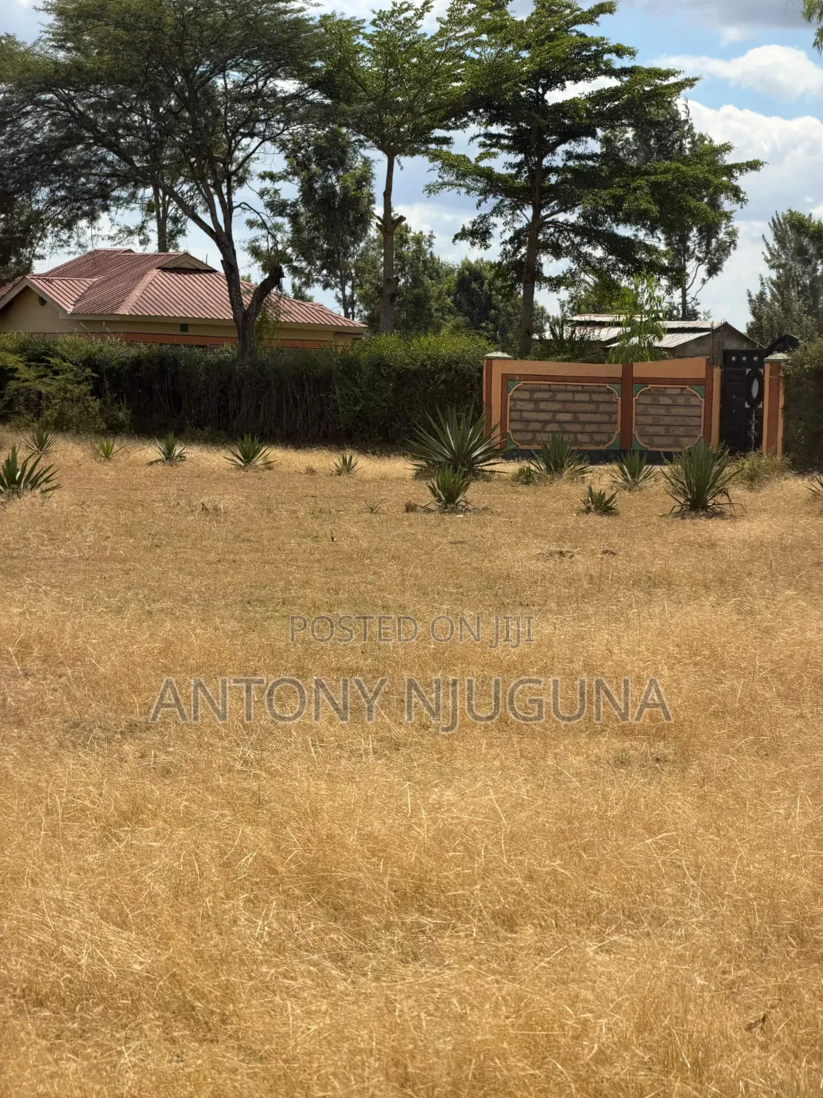 50*100 Plots in Kilimambogo at 350,000