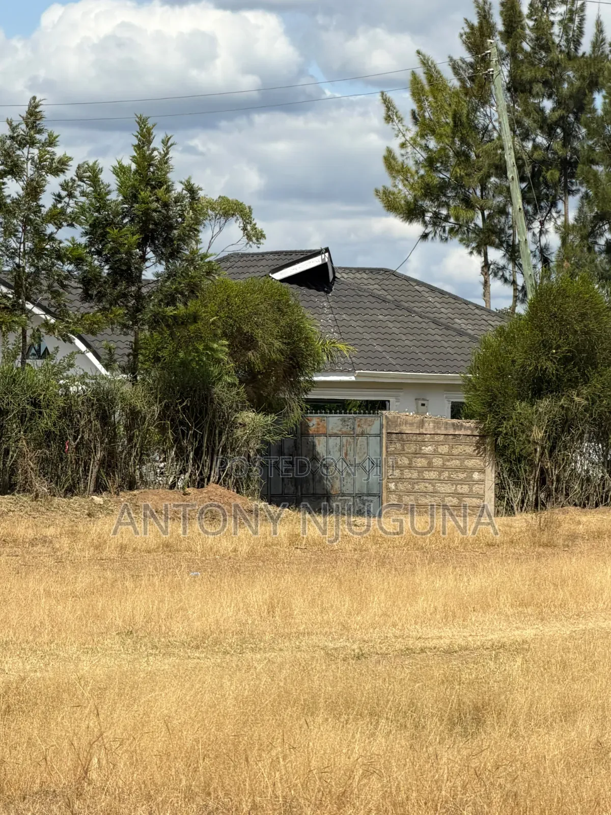 50*100 Plots in Kilimambogo at 350,000