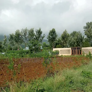 50*100 Plots in Kilimambogo at 350,000