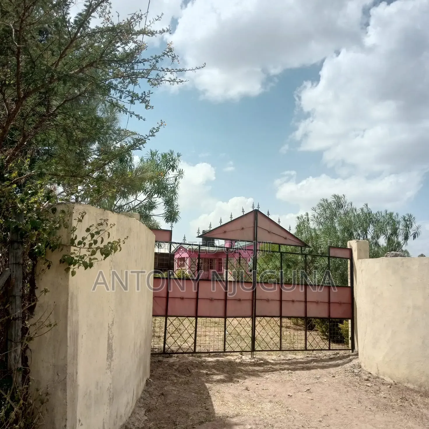 50*100 Plots in Kilimambogo at 350,000